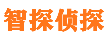 金山外遇出轨调查取证